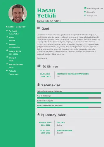 Havacılık Ve Uzay Uçak Mühendisi Cv Örnekleri cv indir